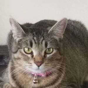 Meet your Posher, Alison